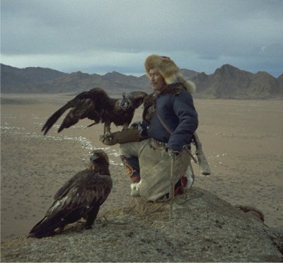 golden eagle hunting. Kazakh Eagle Hunters